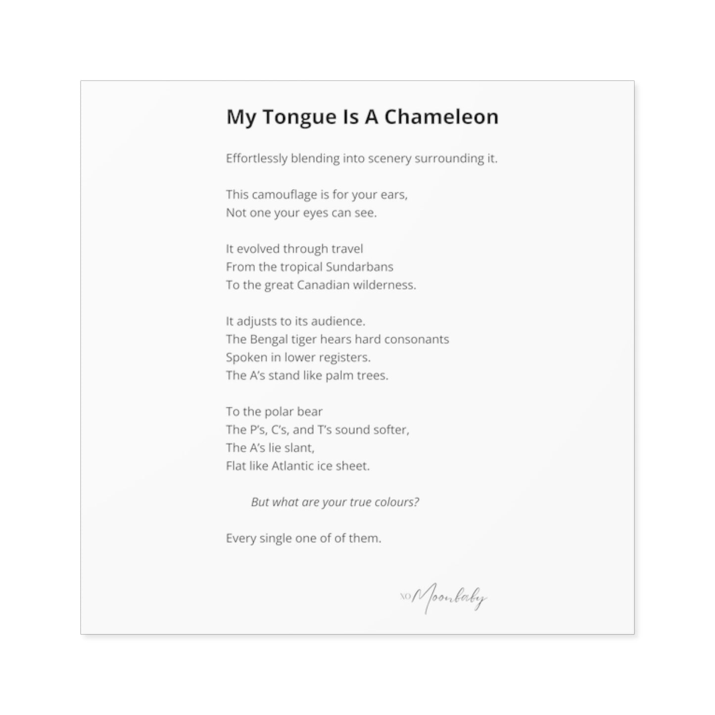 My Tongue Is A Chameleon - Vinyl Sticker, Indoor/Outdoor