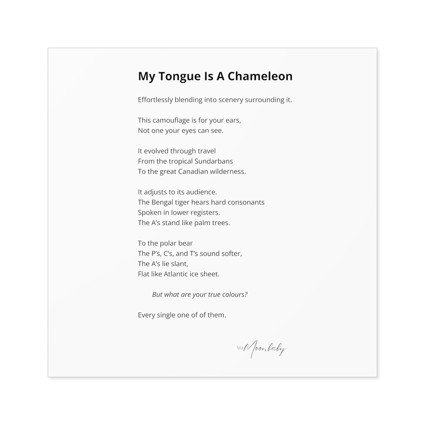 My Tongue Is A Chameleon - Vinyl Sticker, Indoor/Outdoor